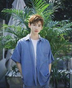 娱乐圈哪些是小狼狗,颜值与魅力的完美结合