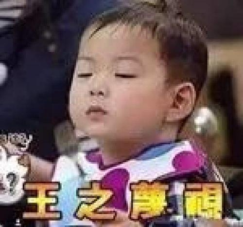 明星过年表情包